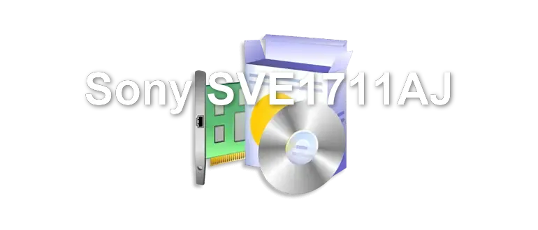 Sony SVE1711AJ