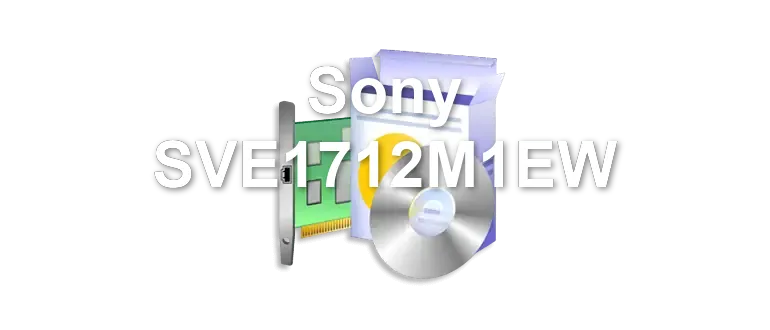 Sony SVE1712M1EW