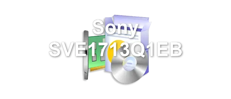 Sony SVE1713Q1EB