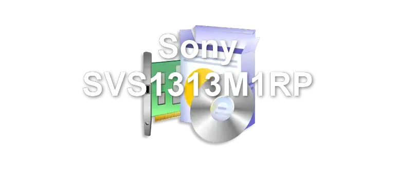 Sony SVS1313M1RP