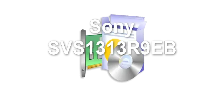 Sony SVS1313R9EB
