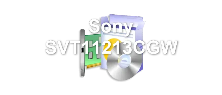 Sony SVT11213CGW