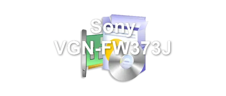 Sony VGN-FW373J