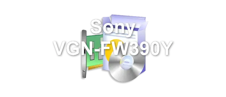 Sony VGN-FW390Y