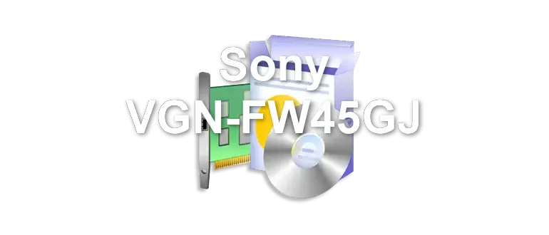 Sony VGN-FW45GJ