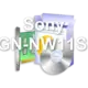 Sony VGN-NW11S T