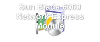 Sun Blade 6000 Network Express Module