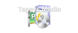Tagsys Medio P101