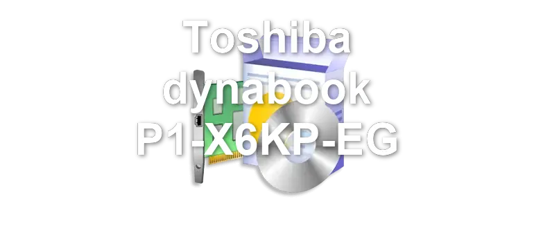 Toshiba dynabook P1-X6KP-EG
