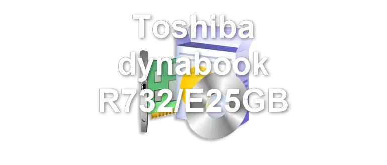 Toshiba dynabook R732/E25GB