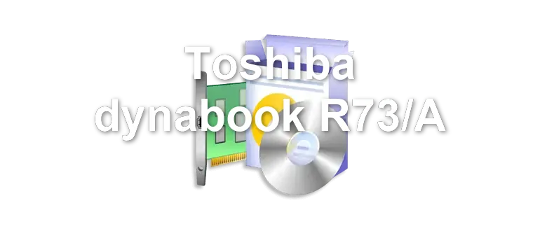 Toshiba dynabook R73/A