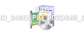 USB VID_045E&PID_002D&MI_00