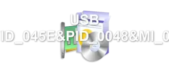 USB VID_045E&PID_0048&MI_01