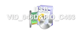 USB VID_046D&PID_C403