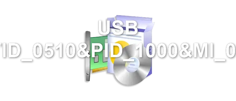 USB VID_0510&PID_1000&MI_00