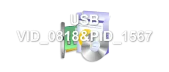 USB VID_0818&PID_1567