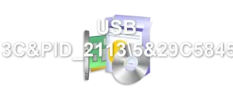 USB VID_413C&PID_21135&29C58453&0&6