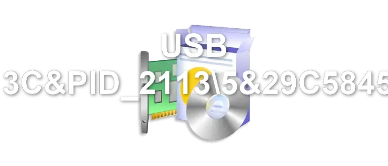 USB VID_413C&PID_21135&29C58453&0&6