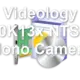 Videology 20K13x NTSC Mono Camera