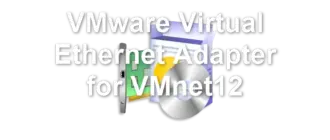 VMware Virtual Ethernet Adapter for VMnet12