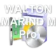 WALTON TAMARIND MX7 Pro