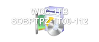 WDC 1TB SDBPTPZ-1T00-112