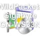 WildPackets Gigabyte GN-WS33N