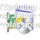 XYZprinting da Vinci Junior 1.0 Professional