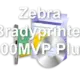Zebra Bradyprinter 300MVP Plus